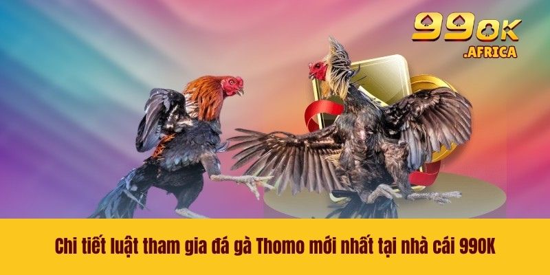 Chi tiết luật tham gia đá gà Thomo mới nhất tại nhà cái 99OK