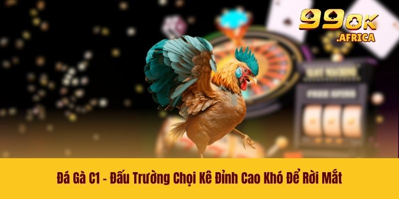 Đá Gà C1 - Đấu Trường Chọi Kê Đỉnh Cao Khó Để Rời Mắt