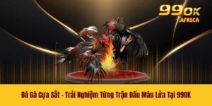 Đá Gà Cựa Sắt - Trải Nghiệm Từng Trận Đấu Máu Lửa Tại 99OK