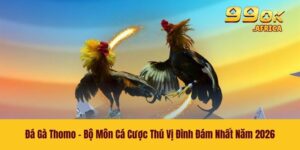 Đá Gà Thomo - Bộ Môn Cá Cược Thú Vị Đình Đám Nhất Năm 2026