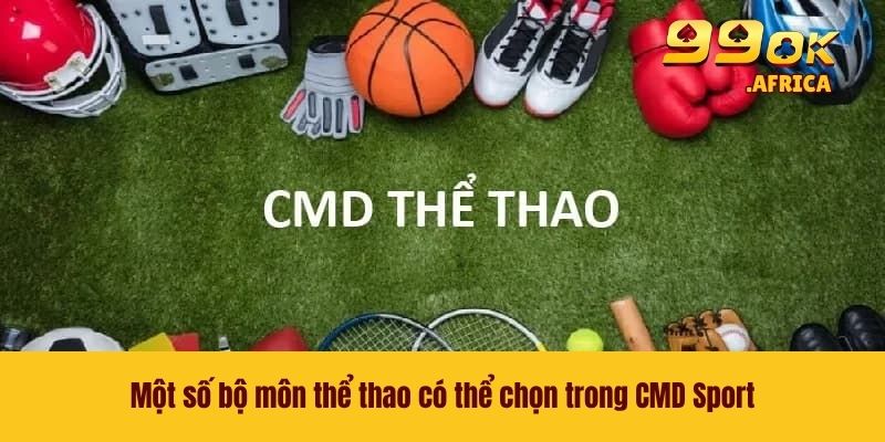 Một số bộ môn thể thao có thể chọn trong CMD Sport
