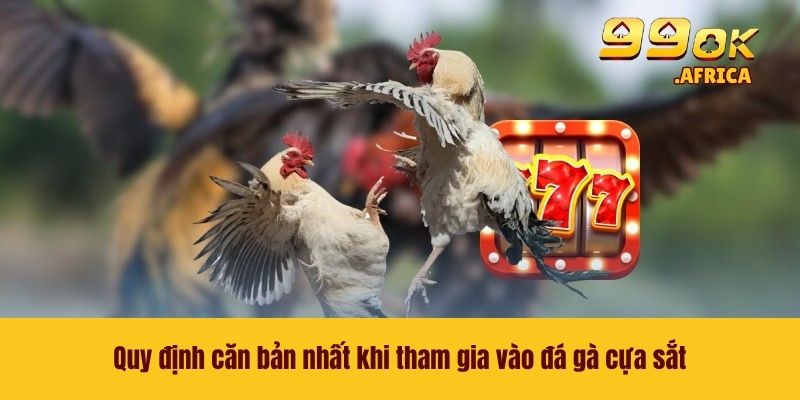 Quy định căn bản nhất khi tham gia vào đá gà cựa sắt