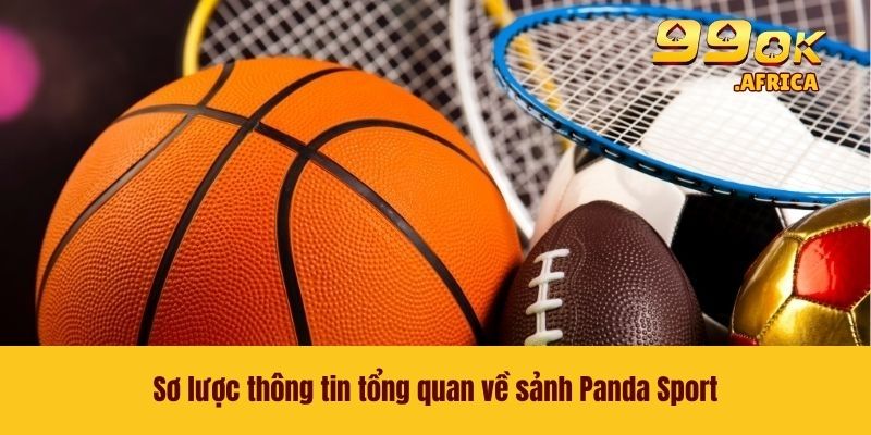 Sơ lược thông tin tổng quan về sảnh Panda Sport