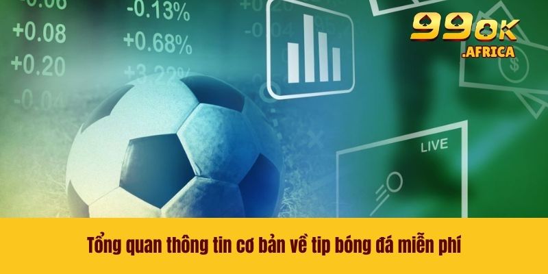 Tổng quan thông tin cơ bản về tip bóng đá miễn phí