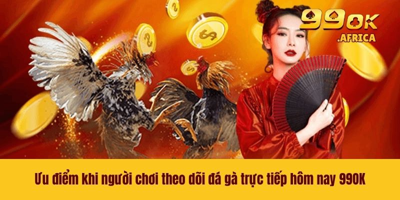 Ưu điểm khi người chơi theo dõi đá gà trực tiếp hôm nay 99OK